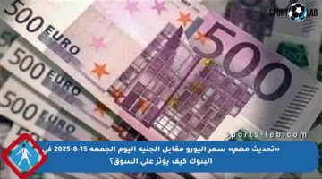 «تحديث مهم» سعر اليورو مقابل الجنيه اليوم الجمعة 15-8-2025 في البنوك كيف يؤثر على السوق؟
